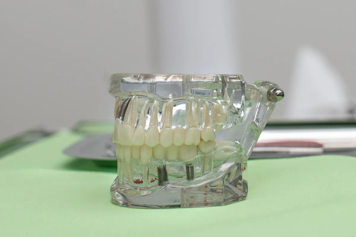 ProMag Dental Clinic – photo 11
